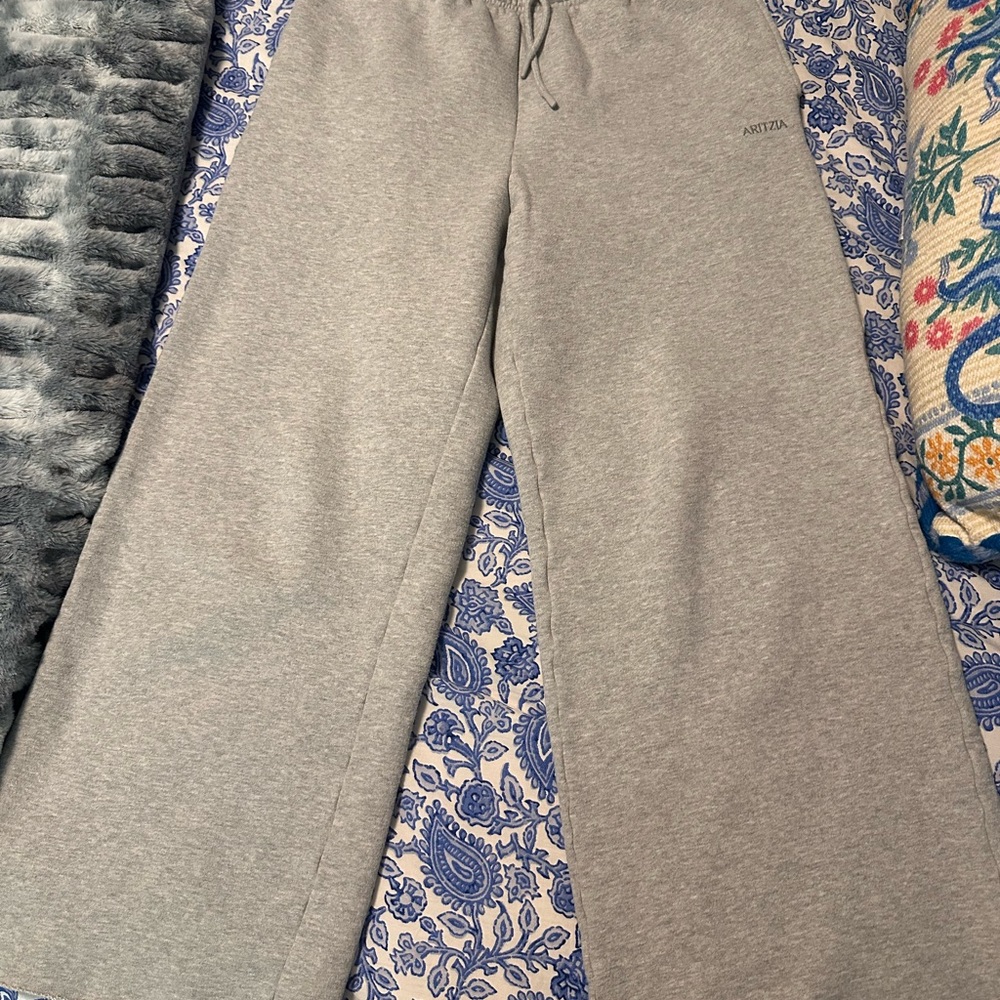 Aritzia Gray Sweatpants Relaxed Fit Joggers